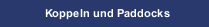 Koppeln und Paddocks